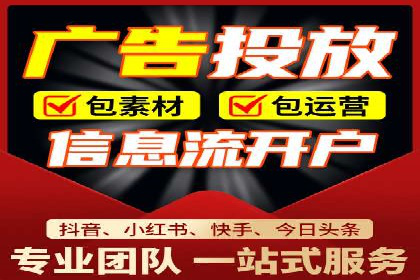 某品牌SEM推广代运营的实践与效果评估